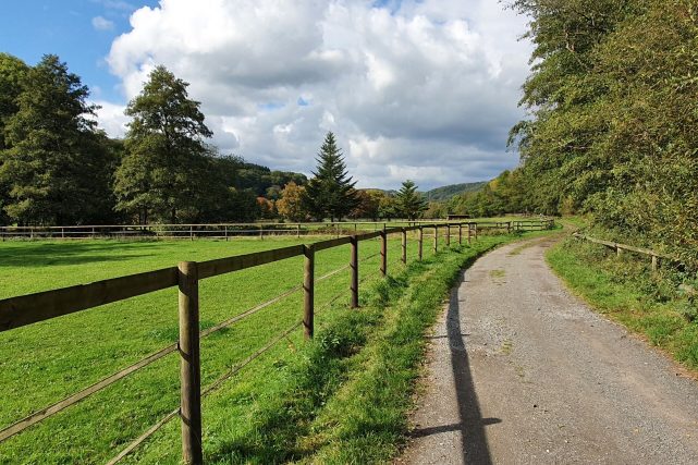 Weg entlang der Wiese